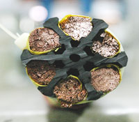 Alternate Polarity separated by Separator